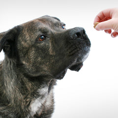 Collection image for: Integratori per animali